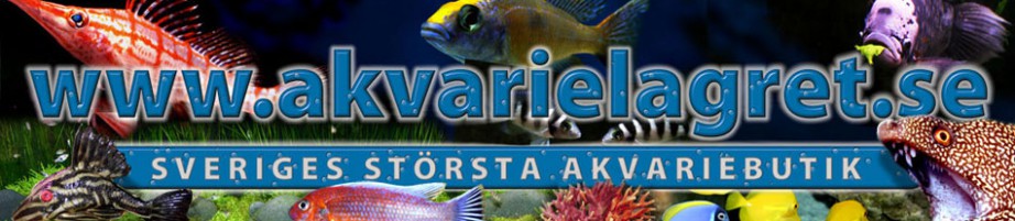 Välj vilken av våra butiker du vill läsa mer om.